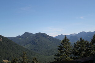 山峦森林间的开阔景致