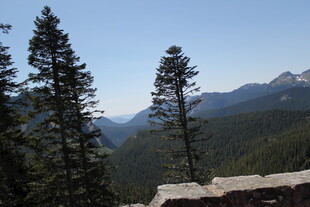 山间松林与远处山峦美景