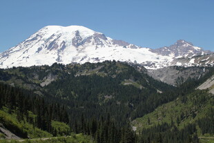 壮丽雪山下的葱郁山林