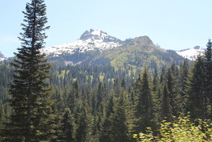山林间的巍峨雪山景色