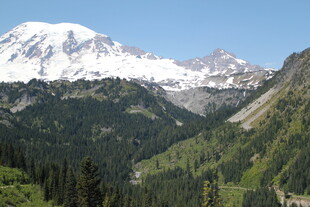 雪山森林壮美自然风光