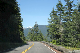 蜿蜒公路穿行于葱郁山林
