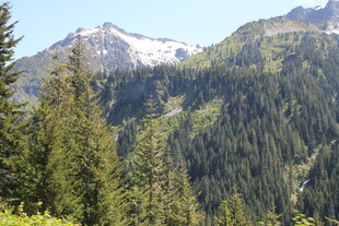 山林间的秀丽山峦景色