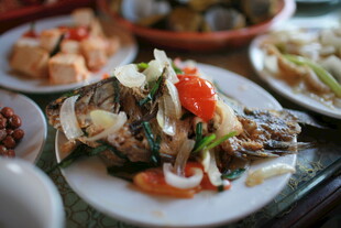 美味多样的特色菜肴