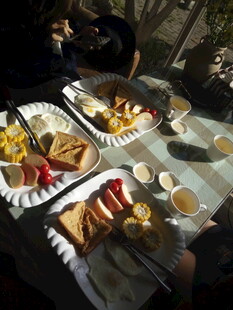 户外野餐美食聚会场景