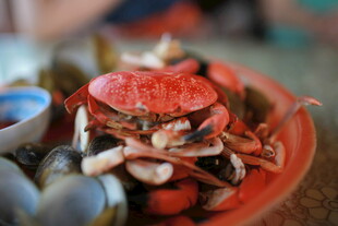 红盘中的新鲜螃蟹及海鲜