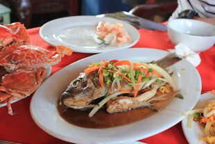 丰盛海鲜佳肴摆桌