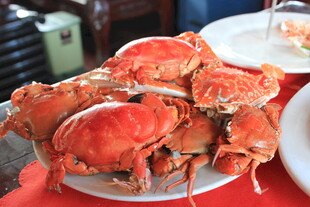 美味大螃蟹摆放在盘中