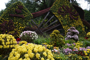 美丽多彩花园景观