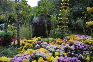 花园中的大象雕塑与花卉