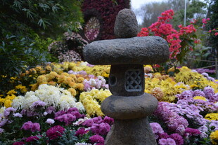 石灯笼点缀多彩花卉景观