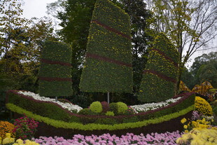 精美立体花卉绿植景观