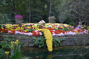 缤纷花卉装点的水边景致