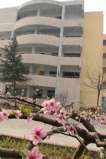 春日校园繁花与建筑美景