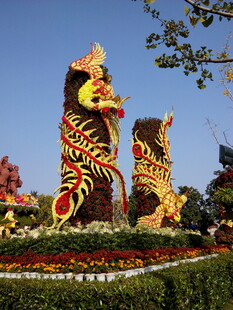 精美龙形植物雕塑景观