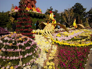 绚丽多彩花卉景观造型