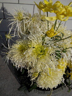 黄白菊花组合插花作品