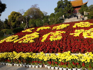 国庆花卉景观布置