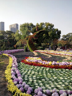 多彩花卉造型景观
