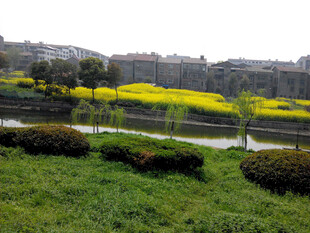 春日田野风光美景