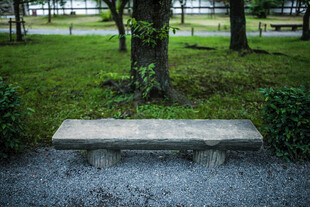 日本公园树下的石制长椅