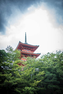 日本绿树掩映下的漂亮宝塔