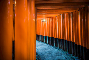 日本橙红色鸟居通道的神秘景象