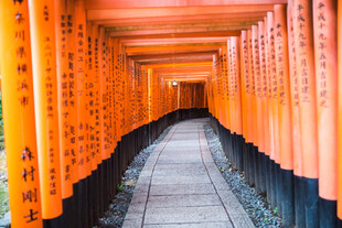 日本千本鸟居 绚烂的红色隧道