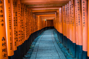 日本千本鸟居通道 神秘日式风景