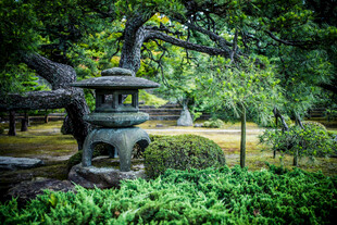 日本日式园林中的古朴石灯笼