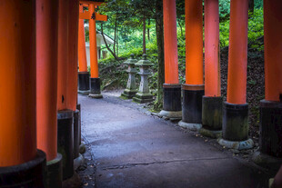 日本红色鸟居构成的幽静通道