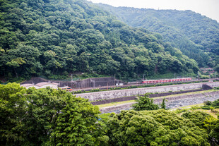 日本山林间的铁路景观