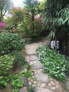 日本石径通幽的美丽花园