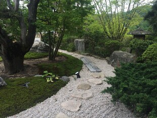 日本日式禅意花园小径景观