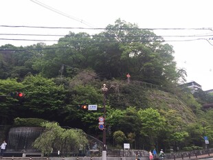 日本绿意盎然的山坡景观