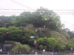 日本绿意盎然的山坡景致