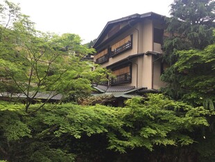 日本山林间的日式传统建筑