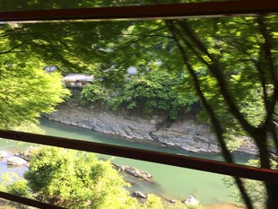 日本透过窗棂赏绿意溪流