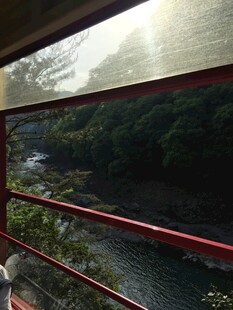 日本乘缆车赏山林溪流美景