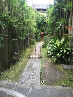 日本幽静竹林小径景观