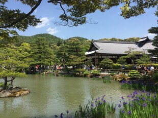 日本日式园林湖畔古建筑景观