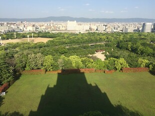 日本城市绿地景观俯瞰