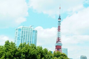 日本东京塔与城市绿树景观