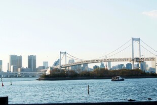 日本东京彩虹桥与城市天际线