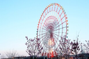 日本夕阳下的绚丽摩天轮