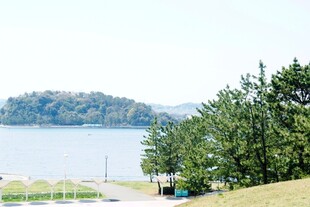 日本湖畔绿树成荫的美丽景致