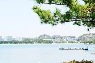 日本湖畔松景 悠然水上风光