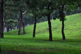 公园风景  