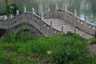 公园风景  