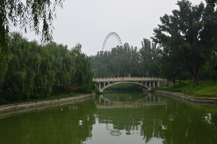 公园风景 